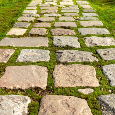 Our paver services include patios, walkways, driveways, and outdoor living areas.